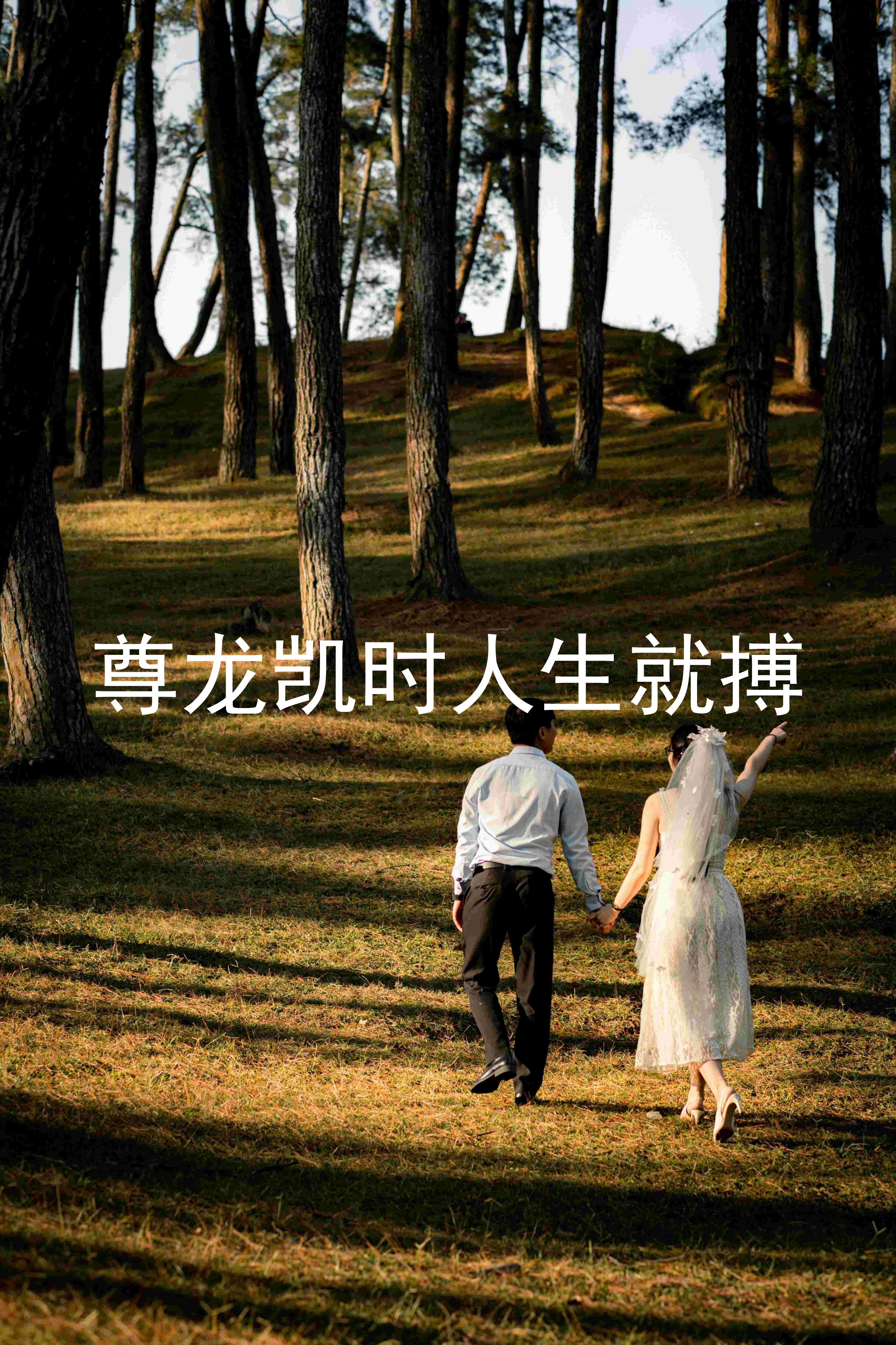 尊龙凯时人生就搏