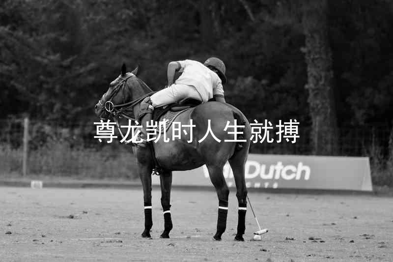 尊龙凯时人生就搏