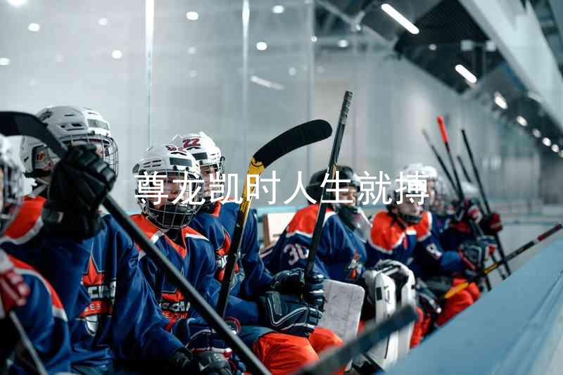 尊龙凯时人生就搏